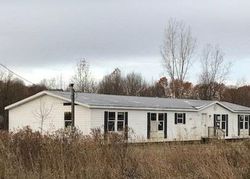 Foreclosure in  MAR LN Clarksville, MI 48815