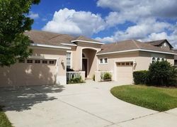 Foreclosure in  ARISTA BLVD Valrico, FL 33594