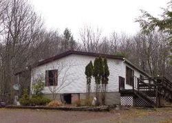 Foreclosure Listing in WADE RD LIBERTY, NY 12754