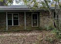 Foreclosure in  COUNTY ROAD 531 New Brockton, AL 36351