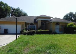 Foreclosure in  COUNTRY CREEK LN Valrico, FL 33596