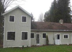 Foreclosure in  BAGDAD RD Gowanda, NY 14070