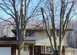 Foreclosure Listing in FORBES ST NEW BALTIMORE, MI 48047