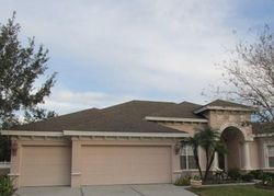 Foreclosure in  KALANCHOE PL Wesley Chapel, FL 33544