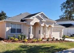 Foreclosure in  BURNING BUSH TER Land O Lakes, FL 34638