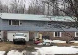 Foreclosure Listing in BASE BRIDGE RD WILLIAMSTOWN, NY 13493
