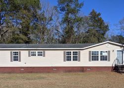 Foreclosure Listing in COUNTY ROAD 223 NEW BROCKTON, AL 36351