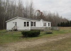 Foreclosure in  E WALENJUS RD Falmouth, MI 49632