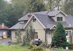Foreclosure in  E AGATE LOOP RD Shelton, WA 98584
