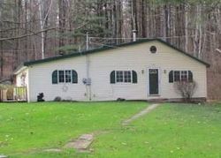 Foreclosure in  HOLMES RD Apalachin, NY 13732