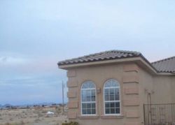Foreclosure in  E HICKORY ST Pahrump, NV 89048