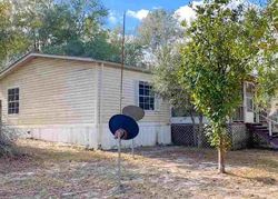 Foreclosure Listing in NW 62ND PL BELL, FL 32619