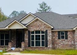 Foreclosure in  RIVER RD Silver Creek, MS 39663