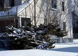 Foreclosure in  STEEL ST Detroit, MI 48227