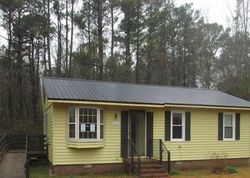 Foreclosure in  RED TIP LN Willard, NC 28478