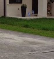  W 71st Pl, Hialeah FL