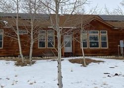 Foreclosure in  ASPEN WAY DR Florissant, CO 80816