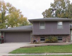 Foreclosure Listing in BRIAR LN MORRIS, IL 60450