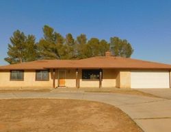 Foreclosure in  MINGO LN Apple Valley, CA 92307