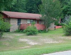 Foreclosure in  US HIGHWAY 84 Red Level, AL 36474