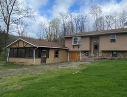 Foreclosure in  VALLEY VIEW RD Wyalusing, PA 18853