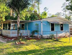 Foreclosure Listing in DEER RD ASTOR, FL 32102