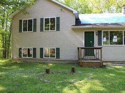 Foreclosure in  CARNATION RD East Stroudsburg, PA 18302