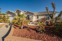 Foreclosure Listing in PARKVIEW DR MESQUITE, NV 89027