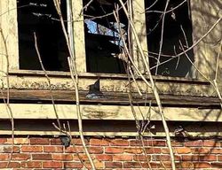 Foreclosure in  GRAYFIELD ST Detroit, MI 48223