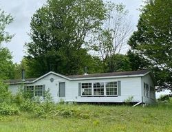 Foreclosure in  220TH AVE Leroy, MI 49655