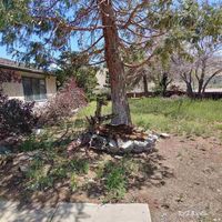 Foreclosure in  BOBCAT DR Reno, NV 89523