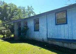 Foreclosure Listing in W RIVER RD CHATTAHOOCHEE, FL 32324