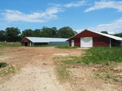 Foreclosure in  COUNTY ROAD 20 Louin, MS 39338