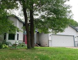Foreclosure in  130TH LN NW Minneapolis, MN 55448