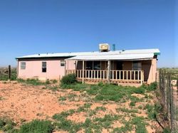 Foreclosure in  CABALLO RD Laguna, NM 87026