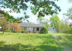 Foreclosure Listing in 5TH AVE MARION, MI 49665