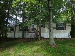 Foreclosure in  VIA ROMA Smock, PA 15480