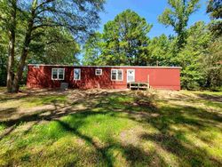 Foreclosure in  DIAL RD Big Sandy, TX 75755