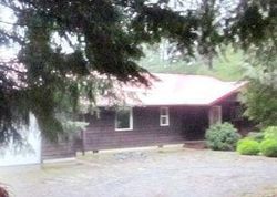 Foreclosure in  BERGEN RD Morton, WA 98356