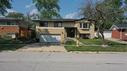 Foreclosure in  PEYTON DR Chicago Heights, IL 60411