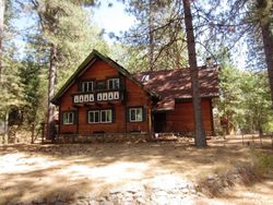 Foreclosure Listing in CEMENT HILL RD NEVADA CITY, CA 95959