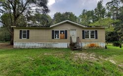 Foreclosure in  NE 497TH ST Old Town, FL 32680