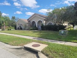 Foreclosure in  PRIMWOOD LN Lutz, FL 33549