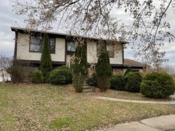 Foreclosure in  ALLEMONG DR Matteson, IL 60443