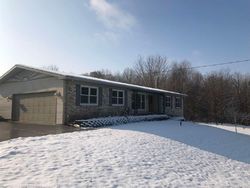 Foreclosure in  VIENNA RD Otisville, MI 48463