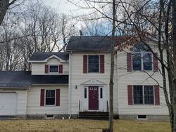 Foreclosure in  STEELE CIR Bushkill, PA 18324