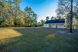 Foreclosure in  BIG DAM SWAMP DR Andrews, SC 29510