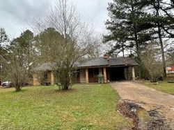 Foreclosure Listing in MCDONALD ST LOUISVILLE, MS 39339