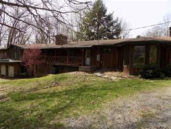 Foreclosure in  PATRICIA CIR Transfer, PA 16154