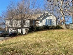 Foreclosure Listing in SW 22ND STREET TER BLUE SPRINGS, MO 64015